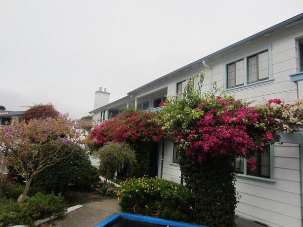 Imagen general del Hotel Arbor Inn Monterey. Foto 8