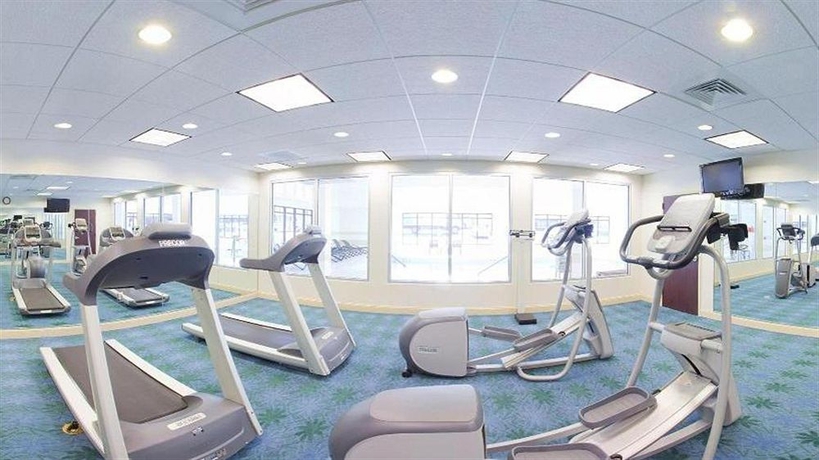 Imagen de los interiores del Hotel Arboretum. Foto 9