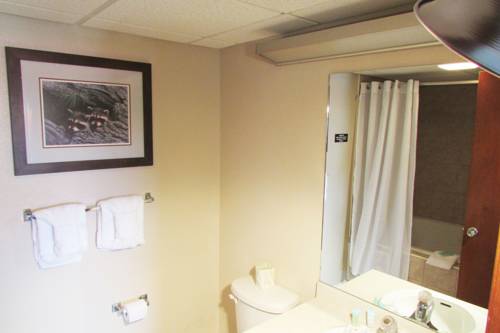 Imagen de la habitación del Hotel Arbors At Island Landing and Suites. Foto 4