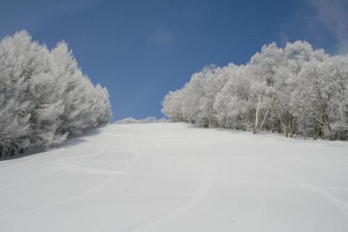 Imagen general del Hotel Arcadia, Nagano. Foto 4