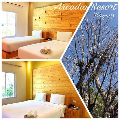Imagen de la habitación del Hotel Arcadia Resort. Foto 2