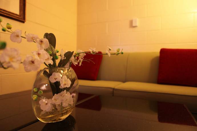 Imagen de la habitación del Hotel Arcadia, Terrytown. Foto 9