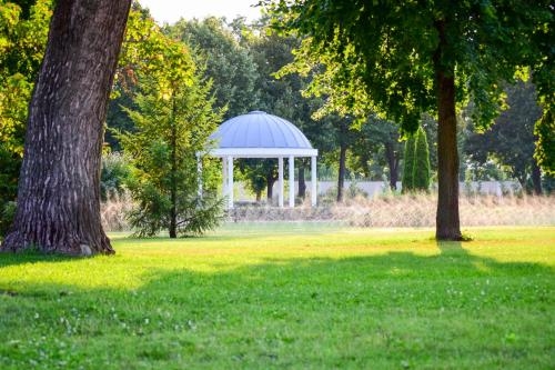 Imagen de la habitación del Hotel Arcanum. Foto 6