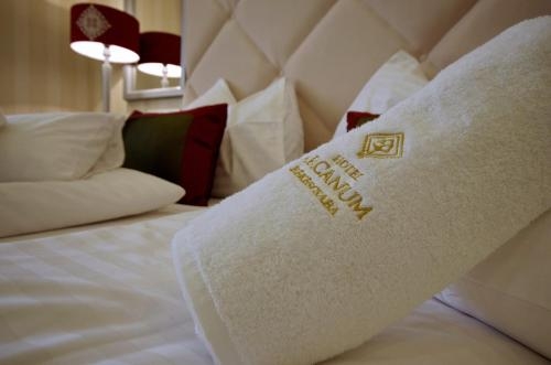 Imagen de la habitación del Hotel Arcanum. Foto 9