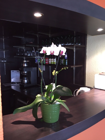 Imagen de los interiores del Hotel Arc-en-ciel Colmar. Foto 6