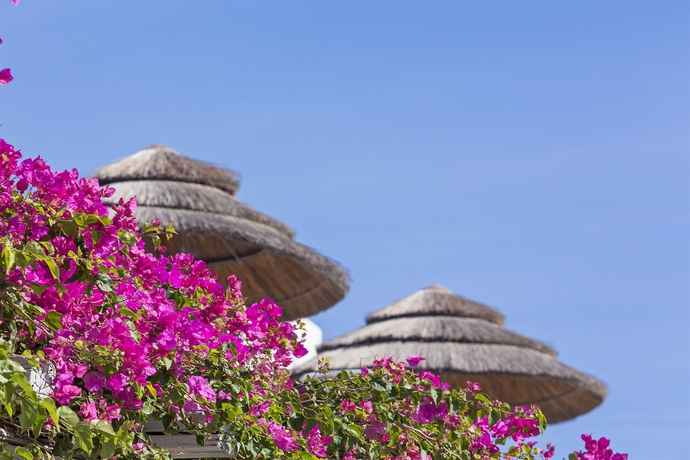 Imagen de los exteriores del Hotel Archipelagos, Kalo Livadi. Foto 10