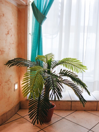 Imagen de los interiores del Hotel Arco Romana. Foto 19