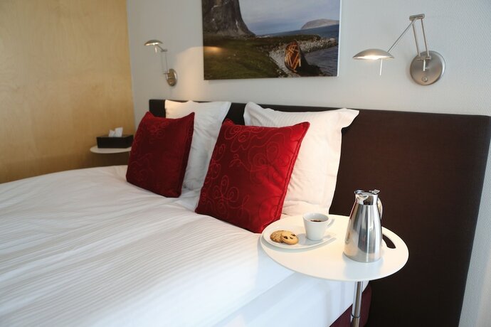 Imagen de la habitación del Hotel Arctic. Foto 15