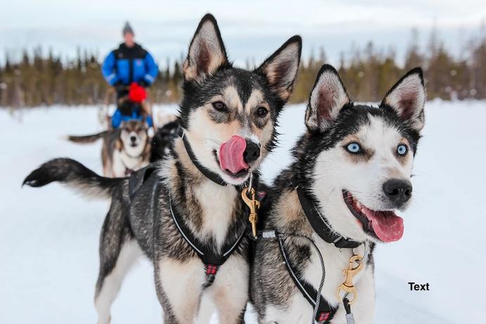 Imagen general del Hotel Arctic Resort Delight. Foto 3