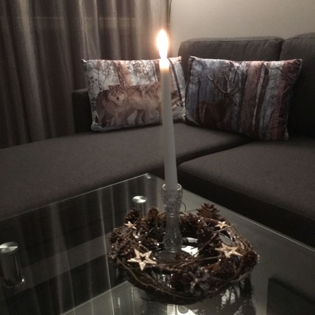 Imagen de la habitación del Hotel Arctic Resort Delight. Foto 10