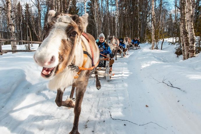 Imagen general del Hotel Arctic Resort Delight. Foto 5