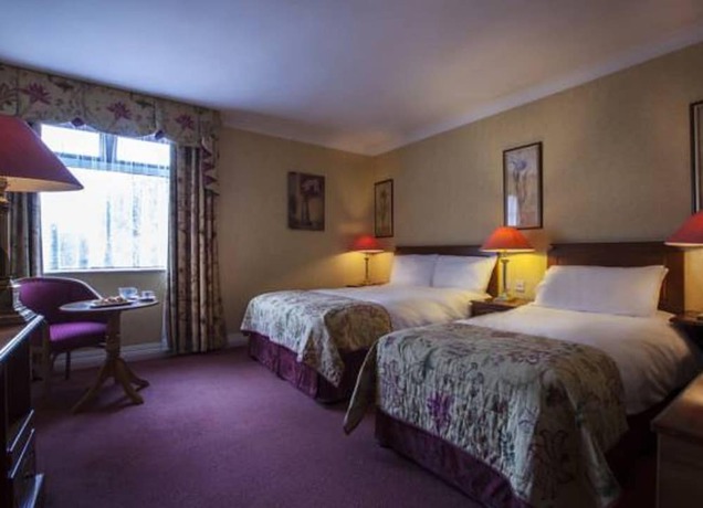 Imagen de la habitación del Hotel Ardboyne. Foto 7