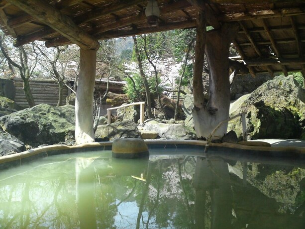 Imagen de la piscina del Hotel Arden Aso. Foto 33