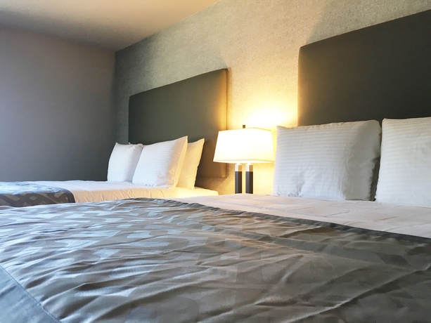 Imagen de la habitación del Hotel Arden Star. Foto 2