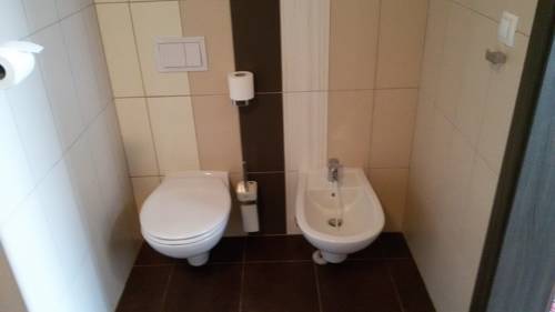 Imagen de la habitación del Hotel Arena, CHOMUTOV. Foto 7