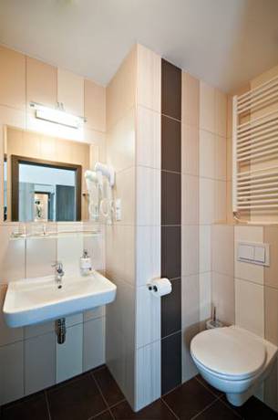 Imagen de la habitación del Hotel Arena, CHOMUTOV. Foto 15