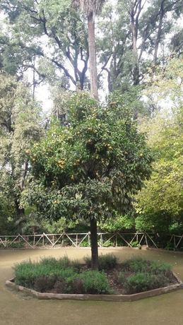 Imagen de los exteriores del Hotel Arena Fes. Foto 14