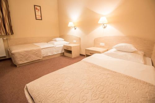 Imagen de la habitación del Hotel Arena Spa & Wellness. Foto 9