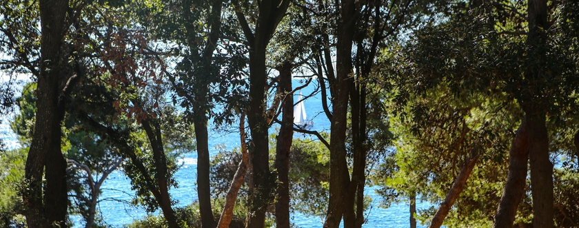 Imagen de los exteriores del Hotel Arena Verudela Beach Apartments. Foto 10