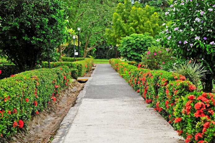 Imagen de los exteriores del Hotel Arenal Country Inn. Foto 10