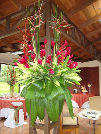 Imagen de los interiores del Hotel Arenal Manoa and Hot Springs Resort. Foto 3