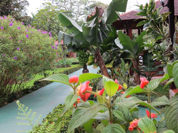 Imagen de los exteriores del Hotel Arenal Montechiari. Foto 11