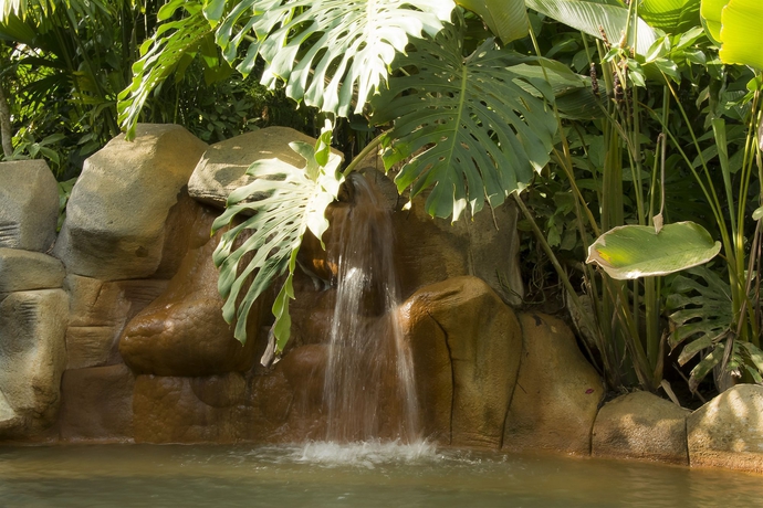 Imagen de la piscina del Hotel Arenal Paraíso Resort and Thermo Mineral Hot Springs. Foto 14
