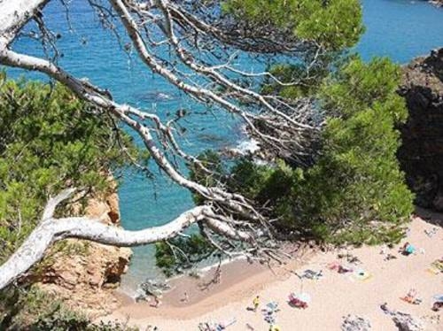 Imagen general del Hotel Arenal, Playa de Pals. Foto 16