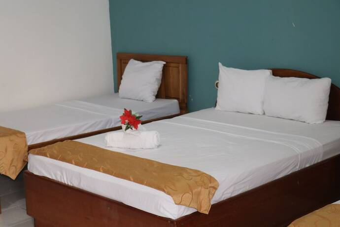 Imagen general del Hotel Arenal Poshpacker - Hostel. Foto 1