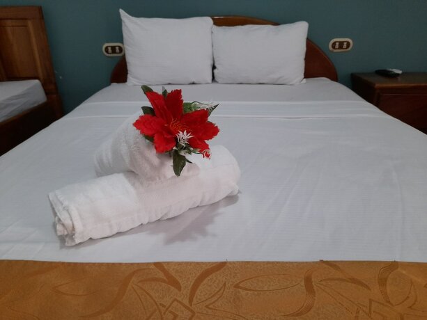 Imagen de la habitación del Hotel Arenal Poshpacker - Hostel. Foto 14