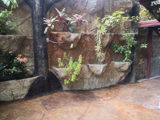 Imagen general del Hotel Arenal Poshpacker - Hostel. Foto 8