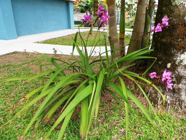 Imagen de los exteriores del Hotel Arenal Rabfer. Foto 14