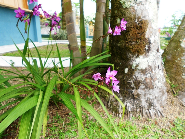 Imagen de los exteriores del Hotel Arenal Rabfer. Foto 15