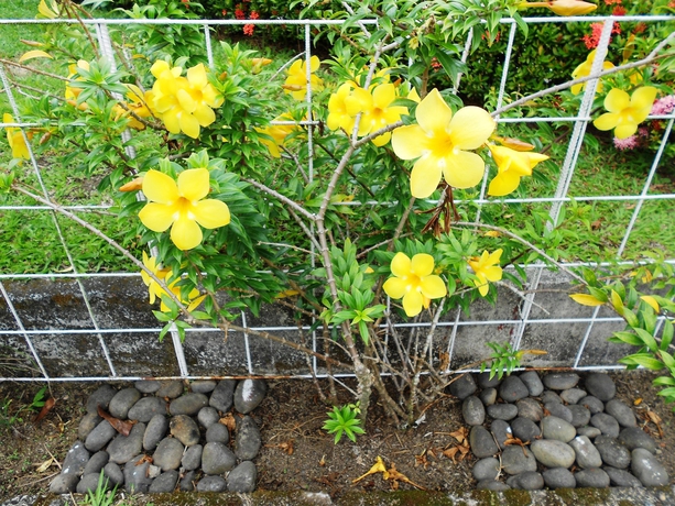 Imagen de los exteriores del Hotel Arenal Rabfer. Foto 16