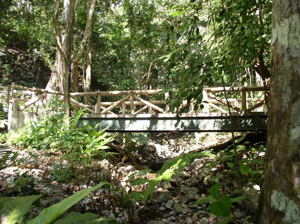 Imagen de los exteriores del Hotel Arenas Del Mar Beachfront and Rainforest Member Of The Cayuga Collection. Foto 3