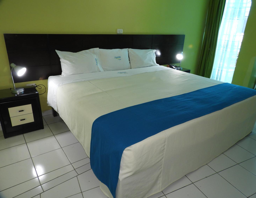 Imagen general del Hotel Arenas Hotel & Spa. Foto 11