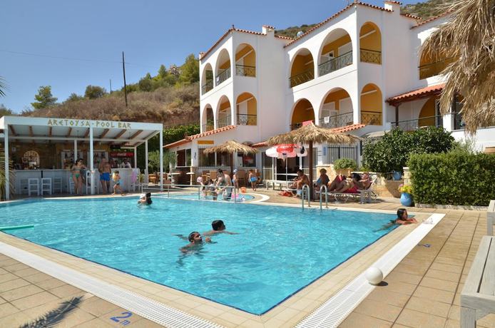 Imagen de la piscina del Hotel Aretoysa. Foto 20