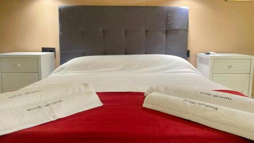 Imagen general del Hotel Arganda. Foto 9