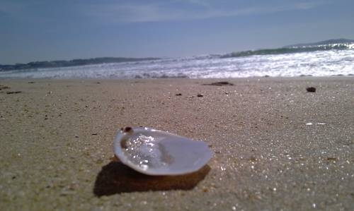 Imagen general del Hotel Argibay. Foto 2