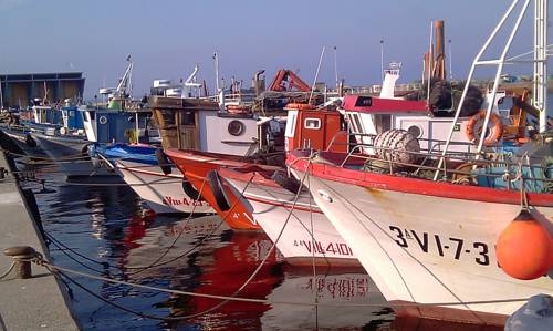 Imagen general del Hotel Argibay. Foto 13