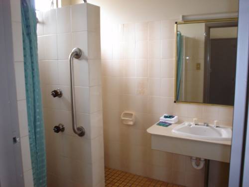Imagen de la habitación del Hotel Argosy Motor Inn. Foto 5