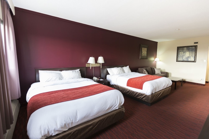 Imagen de la habitación del Hotel Argyll Plaza. Foto 13
