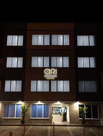 Imagen de los interiores del Hotel Ari. Foto 17