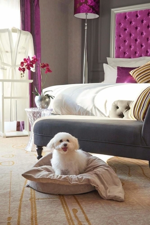 Imagen de los exteriores del Hotel Aria Budapest By Library Collection. Foto 7