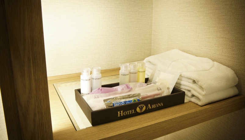 Imagen de la habitación del Hotel Ariana. Foto 10