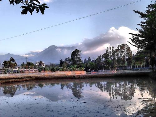 Imagen de la habitación del Hotel Aries Biru & Villa. Foto 6