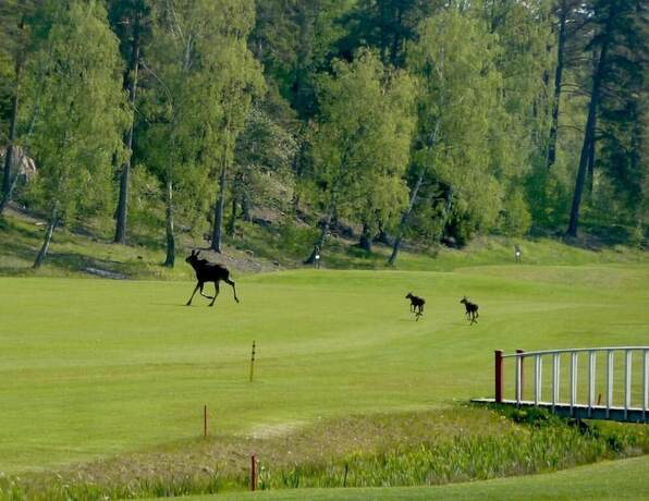 Imagen general del Hotel &Aring;da Golf and Country Club. Foto 10