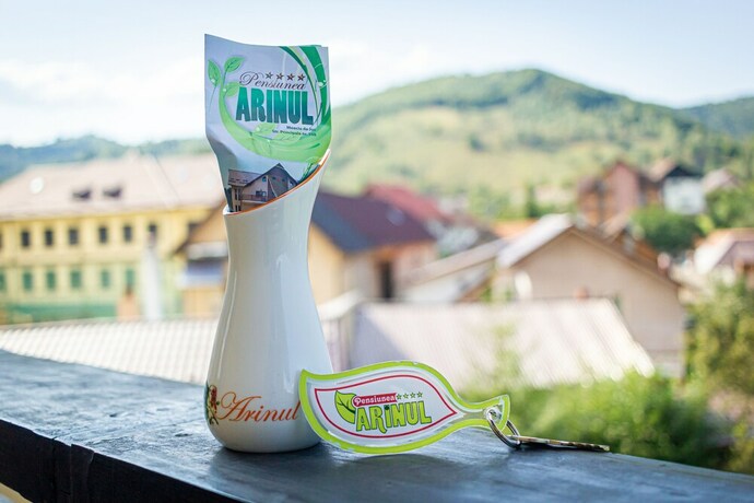 Imagen general del Hotel Arinul. Foto 5