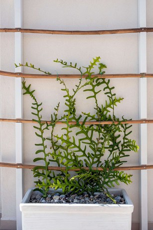 Imagen de los interiores del Hotel Aris. Foto 18