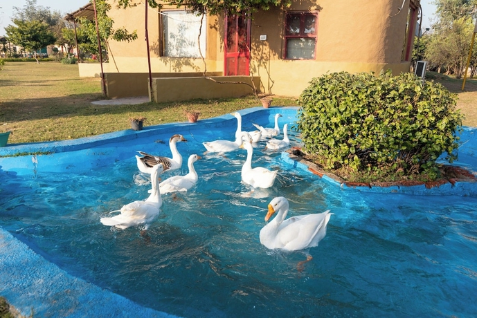 Imagen general del Hotel Arise Rustic Village Resort. Foto 1